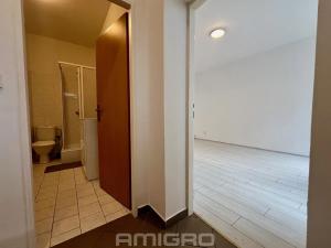 Pronájem bytu 1+kk, Brno, Pekařská, 27 m2