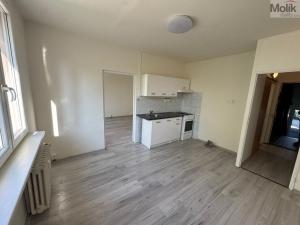 Pronájem bytu 1+1, Most, Česká, 34 m2