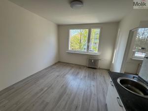 Pronájem bytu 1+1, Most, Česká, 34 m2