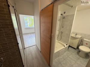 Pronájem bytu 1+1, Most, Česká, 34 m2