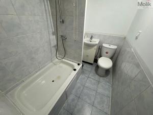 Pronájem bytu 1+1, Most, Česká, 34 m2