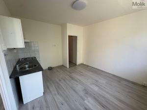 Pronájem bytu 1+1, Most, Česká, 34 m2