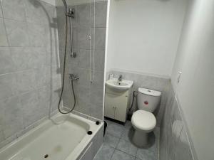 Pronájem bytu 1+1, Most, Česká, 34 m2