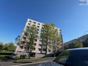 Pronájem bytu 1+1, Most, Česká, 34 m2