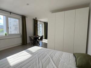 Pronájem bytu 1+kk, Brno, Reissigova, 42 m2