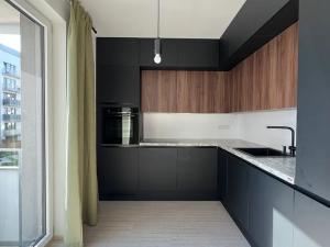 Pronájem bytu 1+kk, Brno, Reissigova, 42 m2