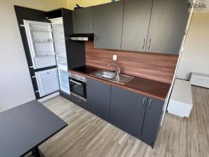 Pronájem bytu 1+1, Most, Javorová, 35 m2