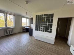 Pronájem bytu 1+1, Most, Javorová, 35 m2
