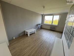 Pronájem bytu 1+1, Most, Javorová, 35 m2
