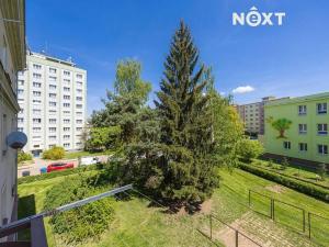Prodej bytu 2+1, Plzeň, Masarykova, 55 m2