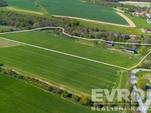 Prodej rodinného domu, Bojanovice - Senešnice, Senešnice, 260 m2