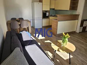 Pronájem bytu 2+kk, Brno, Kartouzská, 46 m2