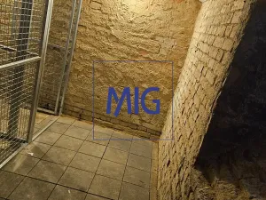 Pronájem bytu 2+kk, Brno, Kartouzská, 46 m2