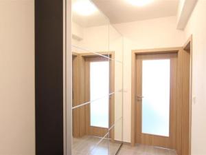 Pronájem bytu 1+kk, Brno, Kopečná, 32 m2