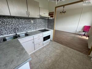 Pronájem bytu 1+1, Most, Brněnská, 39 m2