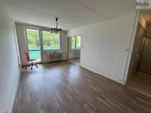 Pronájem bytu 1+1, Most, Brněnská, 39 m2