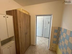 Pronájem bytu 1+1, Most, Brněnská, 39 m2