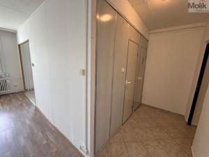 Pronájem bytu 1+1, Most, Brněnská, 39 m2