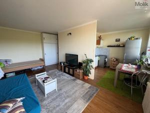 Pronájem bytu 1+1, Most, Brněnská, 33 m2