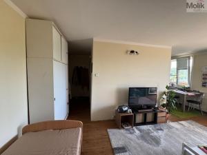 Pronájem bytu 1+1, Most, Brněnská, 33 m2