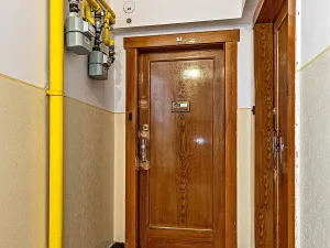 Prodej bytu 2+kk, Praha - Žižkov, Biskupcova, 48 m2