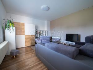 Prodej rodinného domu, Tachlovice, Olivová, 290 m2