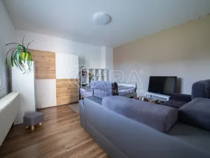 Prodej rodinného domu, Tachlovice, Olivová, 290 m2