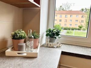 Pronájem bytu 2+1, České Budějovice, Neplachova, 65 m2