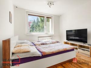 Prodej bytu 1+1, Jihlava, Březinova, 34 m2