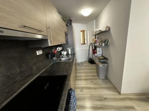 Pronájem bytu 1+kk, Praha - Vinohrady, Rumunská, 53 m2