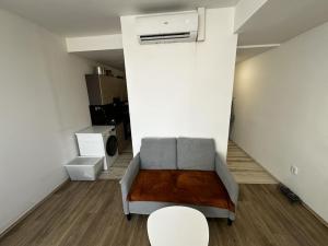 Pronájem bytu 1+kk, Praha - Vinohrady, Rumunská, 53 m2