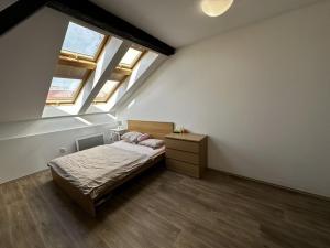 Pronájem bytu 1+kk, Praha - Vinohrady, Rumunská, 53 m2