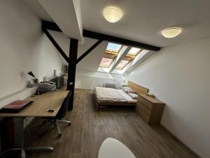 Pronájem bytu 1+kk, Praha - Vinohrady, Rumunská, 53 m2