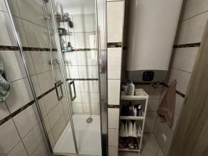 Pronájem bytu 1+kk, Praha - Vinohrady, Rumunská, 53 m2