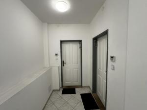 Pronájem bytu 1+kk, Praha - Vinohrady, Rumunská, 53 m2