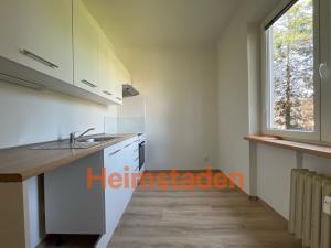 Pronájem bytu 2+1, Havířov - Město, S. K. Neumanna, 50 m2