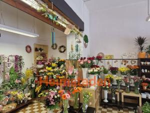 Pronájem obchodního prostoru, Havířov - Město, Hlavní třída, 81 m2