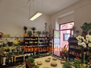 Pronájem obchodního prostoru, Havířov - Město, Hlavní třída, 81 m2