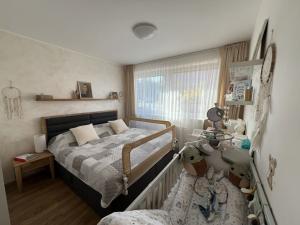 Prodej bytu 2+kk, Pardubice - Zelené Předměstí, nábřeží Závodu míru, 96 m2