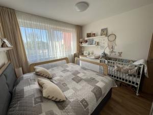 Prodej bytu 2+kk, Pardubice - Zelené Předměstí, nábřeží Závodu míru, 96 m2