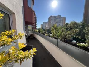 Prodej bytu 2+kk, Pardubice - Zelené Předměstí, nábřeží Závodu míru, 96 m2