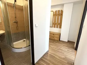 Pronájem bytu 2+1, Ostrava, Bohumínská, 55 m2