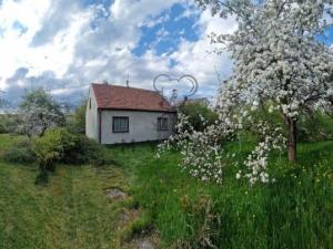 Pronájem rodinného domu, České Budějovice, V Hluboké cestě, 45 m2