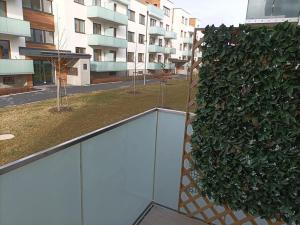 Pronájem bytu 2+kk, Olomouc, 60 m2