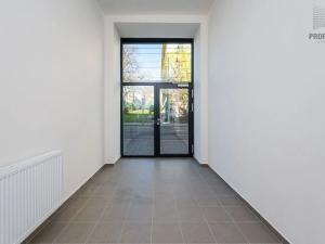 Pronájem skladu, Brno, Vranovská, 22 m2