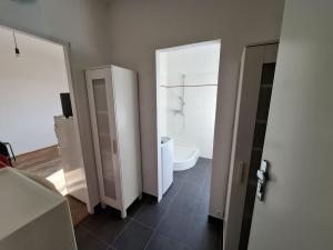 Pronájem bytu 1+kk, Brno - Veveří, Kounicova, 22 m2