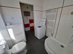 Pronájem bytu 1+kk, Brno - Veveří, Kounicova, 22 m2