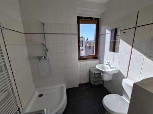 Pronájem bytu 1+kk, Brno - Veveří, Kounicova, 22 m2