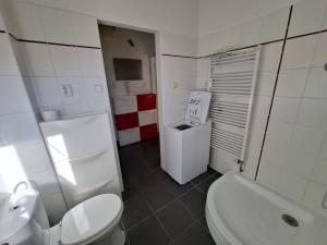 Pronájem bytu 1+kk, Brno - Veveří, Kounicova, 22 m2