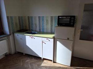 Pronájem bytu 1+kk, Brno - Veveří, Kounicova, 22 m2